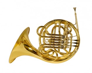 A French horn. A French horn.