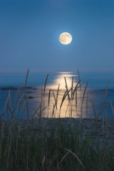 The full moon rising over the beach. The full moon rising over the beach.