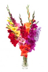 A bouquet of gladioli. A bouquet of gladioli.