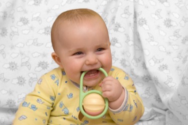 A baby gnaws a toy. A baby gnaws a toy.