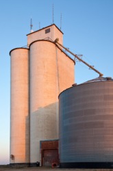 A grain elevator. A grain elevator.