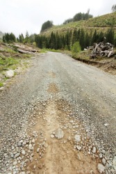 A gravel road. A gravel road.