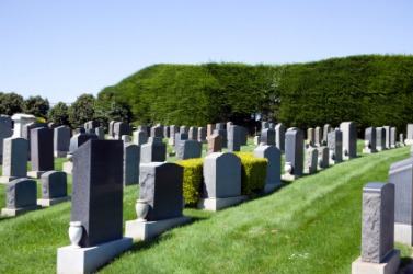 Rows of gravestones in a cemetery. Rows of gravestones in a cemetery.