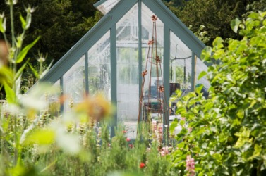 A greenhouse in an English garden. A greenhouse in an English garden.