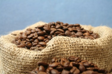 A gunnysack filled with coffee beans. A gunnysack filled with coffee beans.