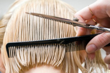 A woman getting a haircut. A woman getting a haircut.