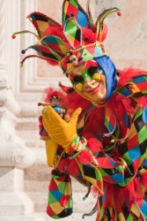 A colorful Harlequin. A colorful Harlequin.