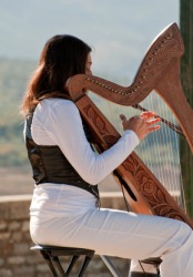A woman playing a harp. A woman playing a harp.