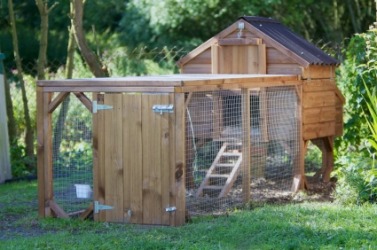 A very nice henhouse. A very nice henhouse.
