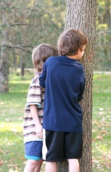Two boys are trying to hide behind a tree. Two boys are trying to hide behind a tree.