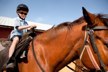A little boy on horseback. A little boy on horseback.