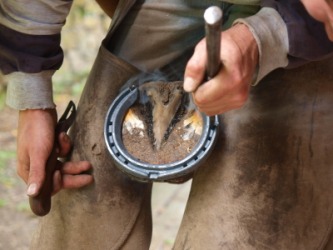 A horse gets a new horseshoe. A horse gets a new horseshoe.