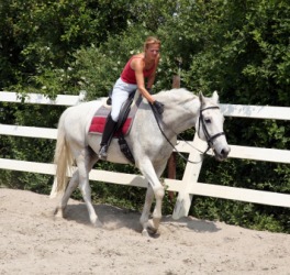 A horsewoman astride her horse. A horsewoman astride her horse.