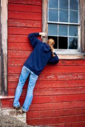 Something in this barn is very interesting. Something in this barn is very interesting.