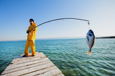 A fisherman displays his catch. A fisherman displays his catch.