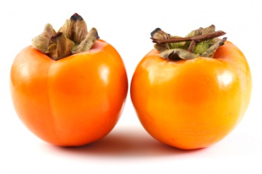 A pair of kaki. A pair of kaki.