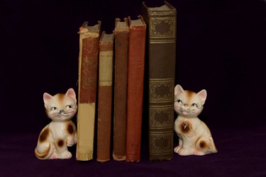 These cat bookends flank these books. These cat bookends flank these books.