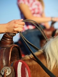 Hands holding the reins of a horse. Hands holding the reins of a horse.