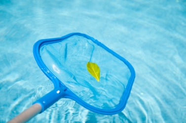 A pool clearner uses a net to skim leaves from a pool. A pool clearner uses a net to skim leaves from a pool.
