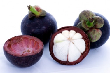 The mangosteen is an exotic fruit. The mangosteen is an exotic fruit.