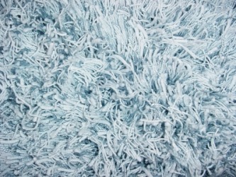Blue shag carpet. Blue shag carpet.