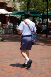 A mailman on his route. A mailman on his route.