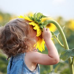 This child is making use of her olfactory nerves. This child is making use of her olfactory nerves.