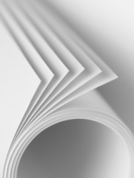Pieces of paper. Pieces of paper.