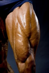 The quadriceps of a bodybuilder. The quadriceps of a bodybuilder.