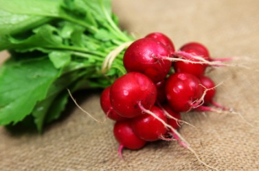 A lovely bunch of radishes. A lovely bunch of radishes.