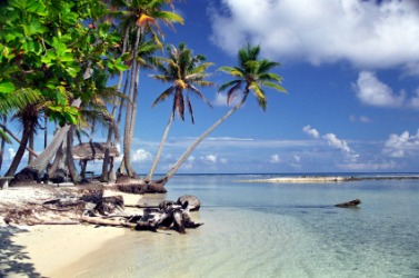 A beach on Raiatea. A beach on Raiatea.