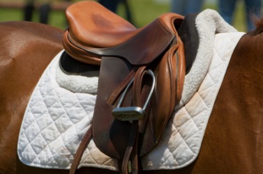 A saddle on a horse. A saddle on a horse.