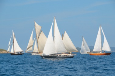 A group of sailboats. A group of sailboats.