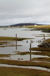 A salt marsh in Scotland. A salt marsh in Scotland.