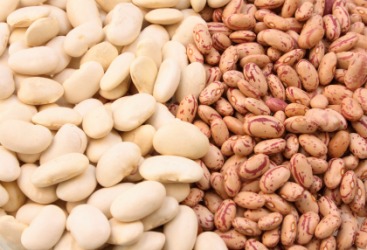 Two different types of beans. Two different types of beans.