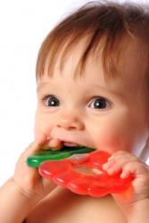 A baby chews on a teething ring. A baby chews on a teething ring.