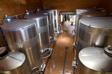 Stainless steel vats of wine. Stainless steel vats of wine.