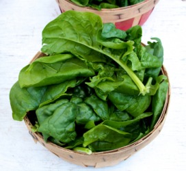 This fresh spinach is a vegetable. This fresh spinach is a vegetable.