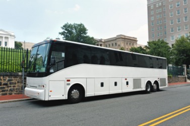 A bus is a type of vehicle. A bus is a type of vehicle.