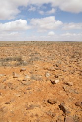 A wasteland in Australia. A wasteland in Australia.