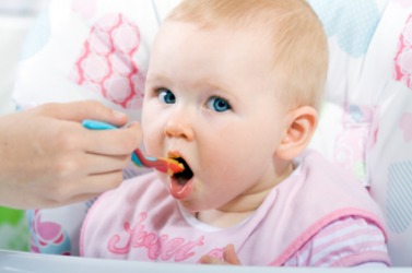 This baby is being weaned onto solid food. This baby is being weaned onto solid food.