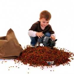 When it comes to feeding the dog, this boy has been a yutz. When it comes to feeding the dog, this boy has been a yutz.