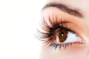 Sight is an example of a faculty. Sight is an example of a faculty.