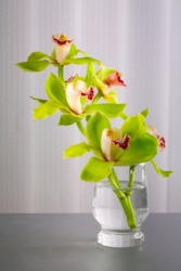 This vase is off-center in this picture. This vase is off-center in this picture.