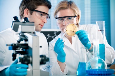 Two scientist working in their laboratory. Two scientist working in their laboratory.