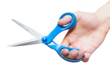 A pair of scissors. A pair of scissors.