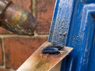 A person scrapes blue paint off a cupboard door. A person scrapes blue paint off a cupboard door.
