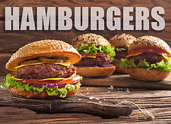 Plural Noun Worksheet