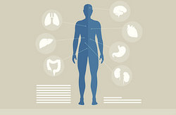 Spanish health vocabulary words Spanish health vocabulary words