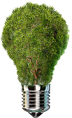 go green catch phrases fancy word for green
